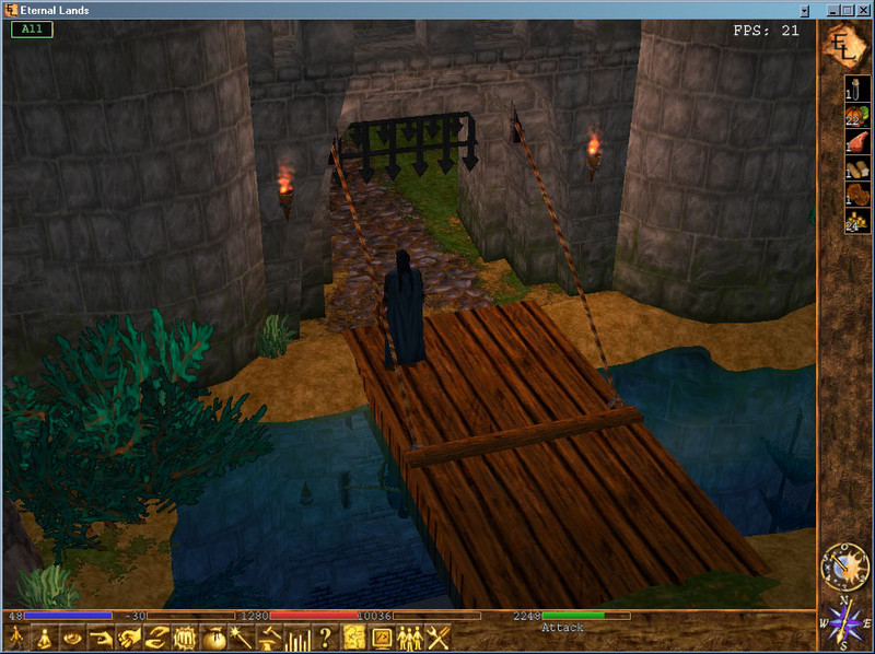 Capture de Eternal Lands
