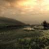 Capture de Dark and Light