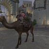 Capture de Age of Conan: Unchained