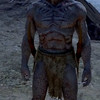Capture de Age of Conan: Unchained