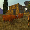 Capture de Age of Conan: Unchained