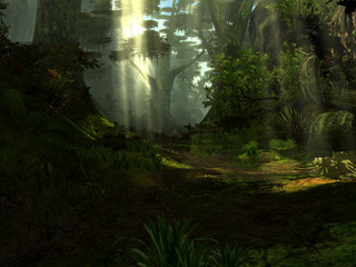 Jungle Jungle