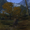Capture de Age of Conan: Unchained