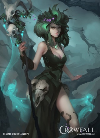 Druide Druide