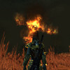 Capture de The Chronicles of Spellborn