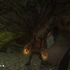 Capture de The Chronicles of Spellborn