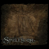 Capture de The Chronicles of Spellborn