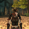 Capture de The Chronicles of Spellborn