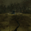 Capture de The Chronicles of Spellborn