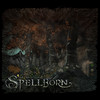 Capture de The Chronicles of Spellborn
