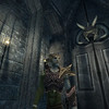 Capture de The Chronicles of Spellborn