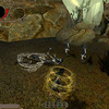 Capture de The Chronicles of Spellborn