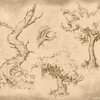 Capture de The Chronicles of Spellborn