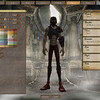 Capture de The Chronicles of Spellborn