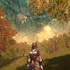 Capture de The Chronicles of Spellborn