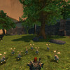 Capture de The Chronicles of Spellborn