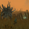 Capture de The Chronicles of Spellborn