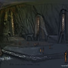Capture de The Chronicles of Spellborn