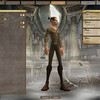 Capture de The Chronicles of Spellborn
