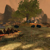 Capture de The Chronicles of Spellborn