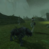 Capture de The Chronicles of Spellborn