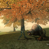 Capture de The Chronicles of Spellborn