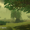 Sorrowmist