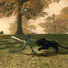 Capture de The Chronicles of Spellborn