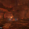 Dans les Caveaux de la Confr�rie