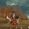 Capture de Silkroad Online