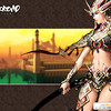 Capture de Silkroad Online
