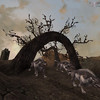 Meute de loups