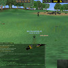 Capture de Dark Age of Camelot