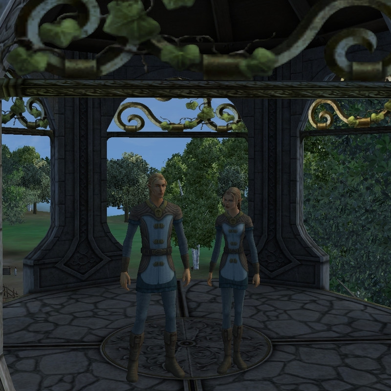 Captures - Page Races site v2 - Elfes