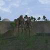 Capture de Dark Age of Camelot