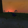 Capture de Dark Age of Camelot