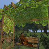 Capture de Dark Age of Camelot