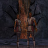 Capture de Dark Age of Camelot