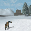 Capture de Dark Age of Camelot