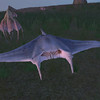 Capture de Dark Age of Camelot