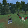 Capture de Dark Age of Camelot