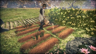Housing : agriculture Housing : agriculture