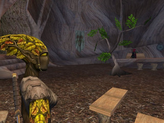 Image de #125 Image de #125