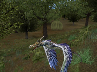 Image de #136 Image de #136