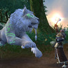 Capture de Warhammer Online: Age of Reckoning