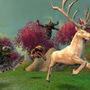 Cerf blanc de la chasse sauvage
