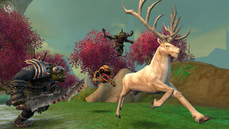 Cerf blanc de la chasse sauvage