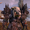 Capture de Warhammer Online: Age of Reckoning