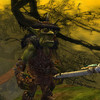 Capture de Warhammer Online: Age of Reckoning