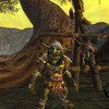 Capture de Warhammer Online: Age of Reckoning